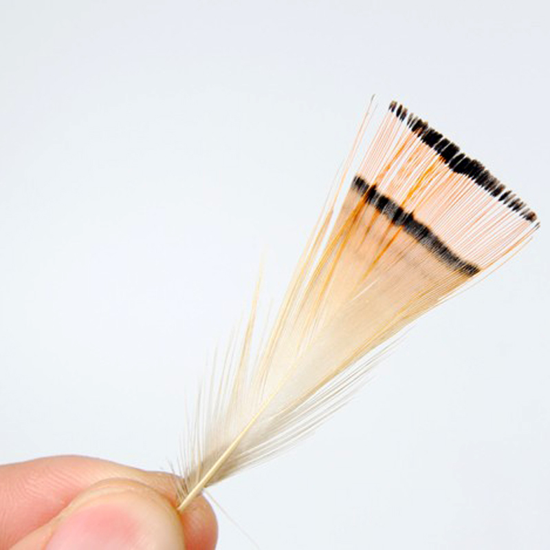 50PCS Natural Color Golden Phe - Fishing Equipment Brands review and price