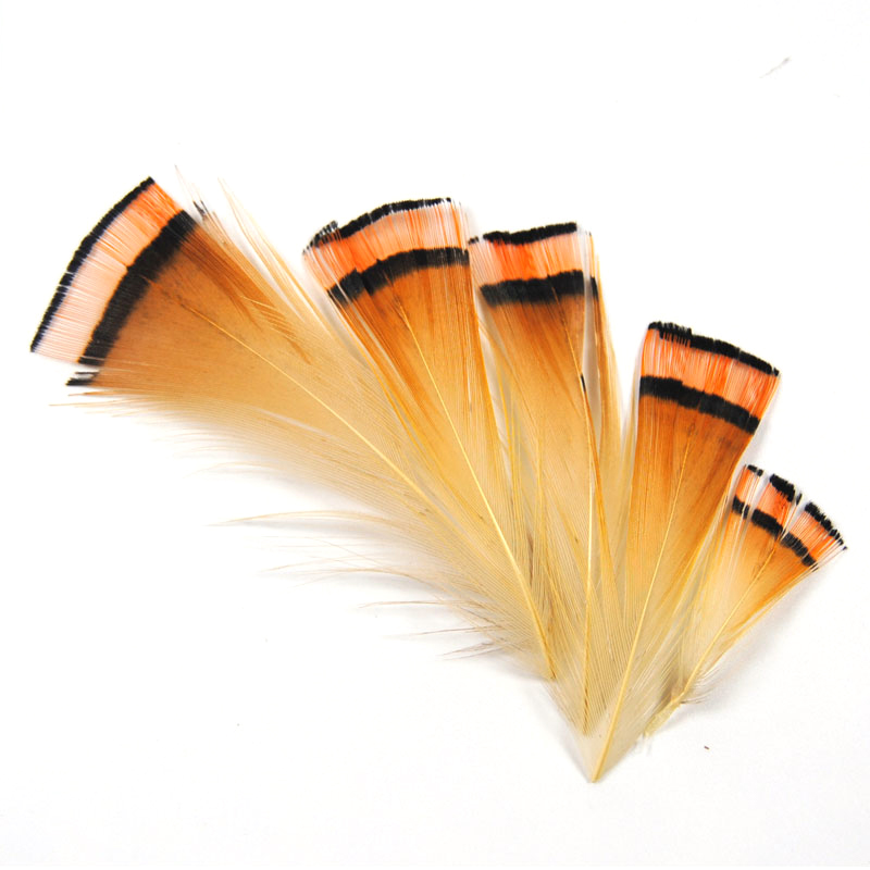 50PCS Natural Color Golden Phe - Fishing Equipment Brands review and price